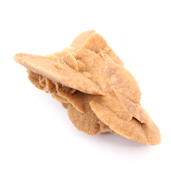 Liten marockansk ökenros: strålglansen av naturligt gips