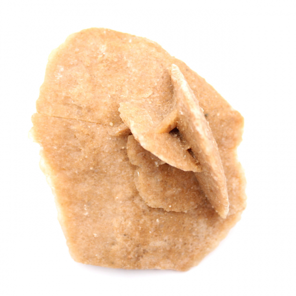 Mineralrosett från Marocko: gipskristallisering