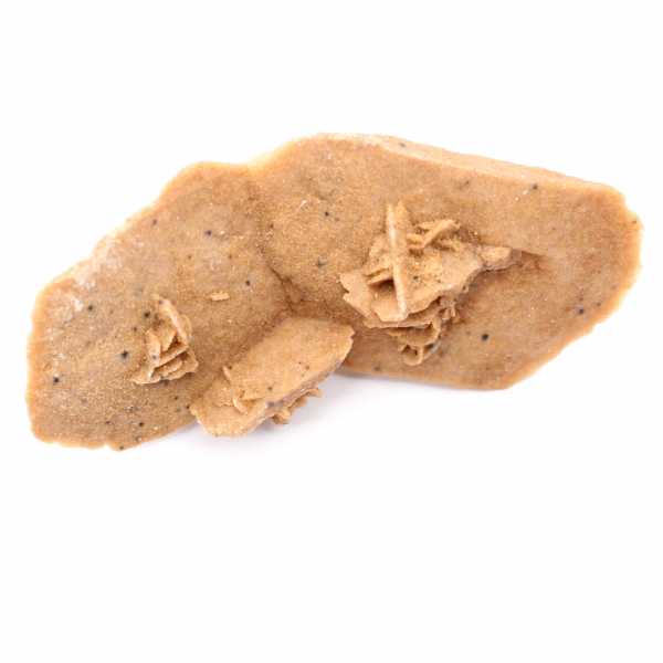 Marockos avlånga ökenros: ett geologiskt exemplar