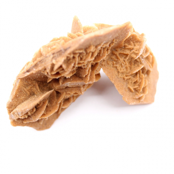 Marockos ökenros: rejäl gipskristall