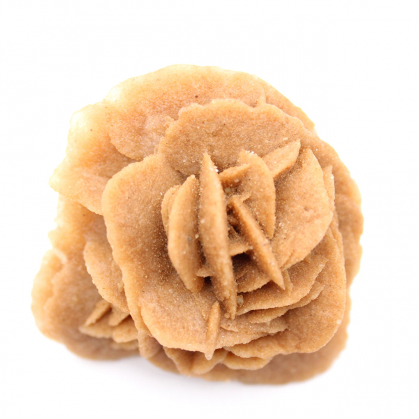 Marockansk ökenros: naturlig gipsbukett