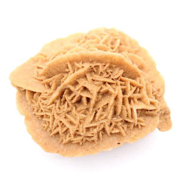 Exemplar av marockansk ökenros: tät kristallisering