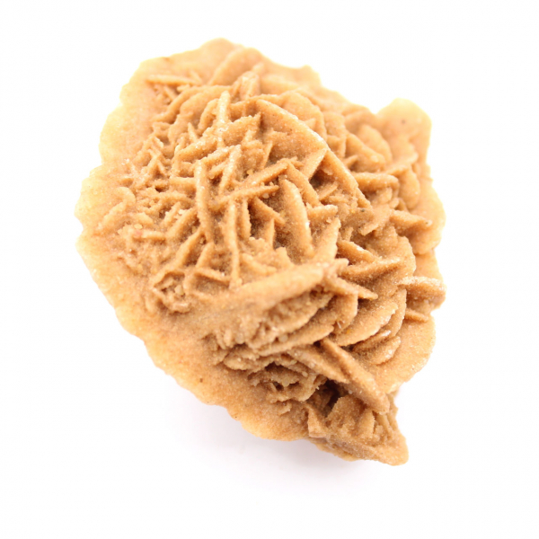 Exemplar av marockansk ökenros: tät kristallisering