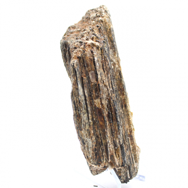 Svart turmalin från Madagaskar - Studieexemplar