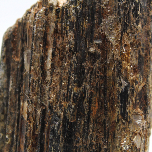 Svart turmalin från Madagaskar - Studieexemplar