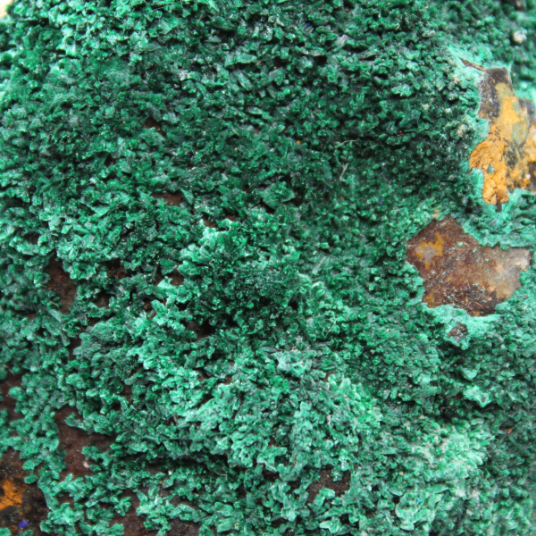 Rå azuritmalakit från Marocko