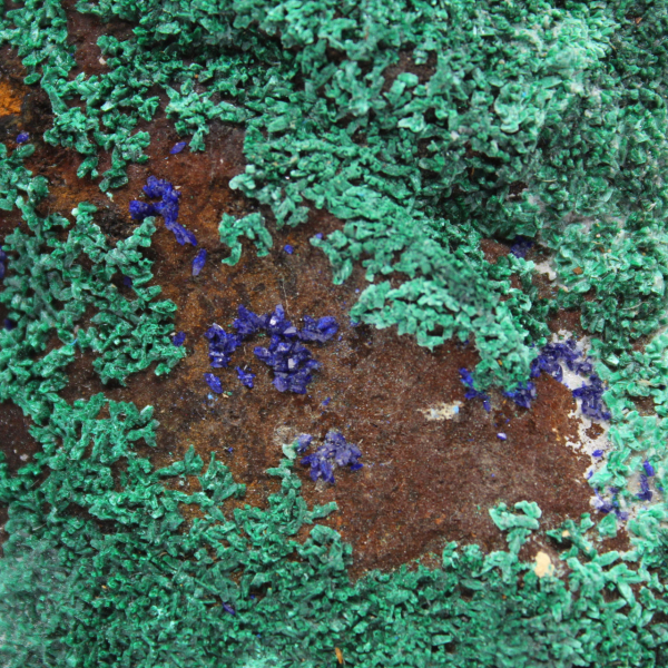 Rå azuritmalakit från Marocko