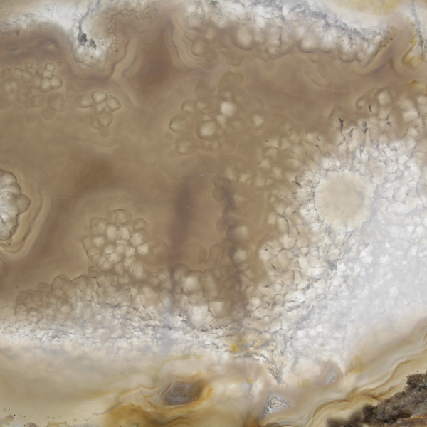 Skiva av brasiliansk agatgeod