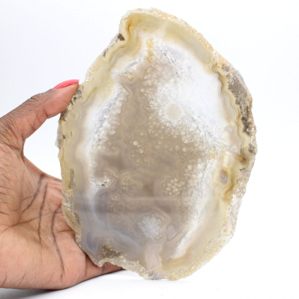 Skiva av brasiliansk agatgeod