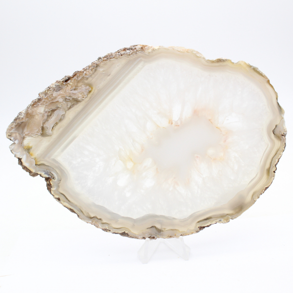 Brasiliansk agat: polerat exemplar