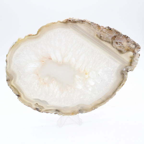 Brasiliansk agat: polerat exemplar