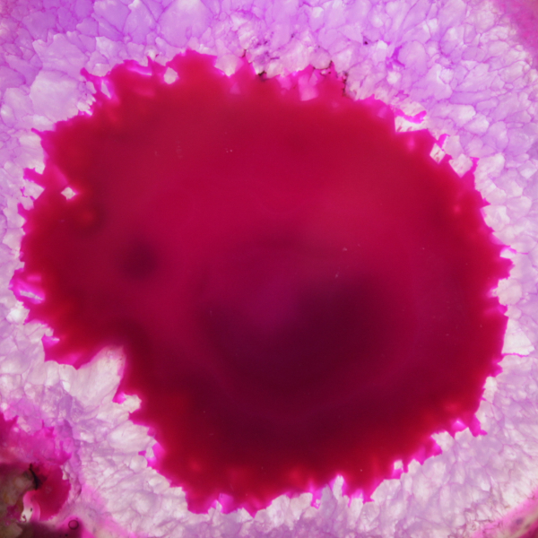 Skiva av färgad rosa agat för samling