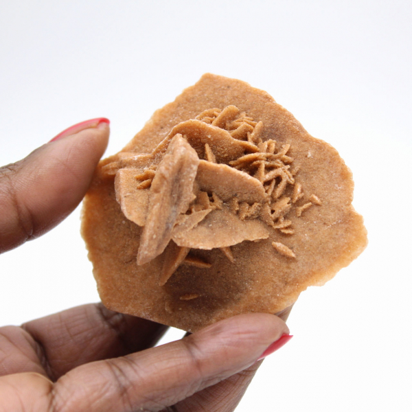 Gipsrosett från Marocko: naturlig kristall från Sahara