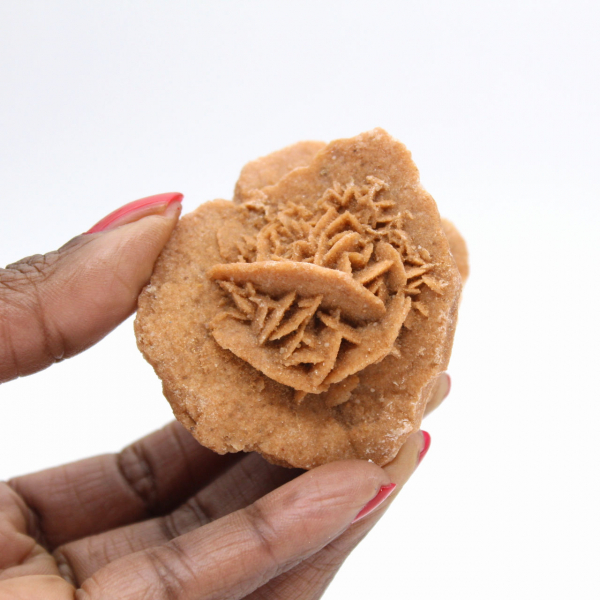 Marockansk ökenros: en kristallklar bukett av gips