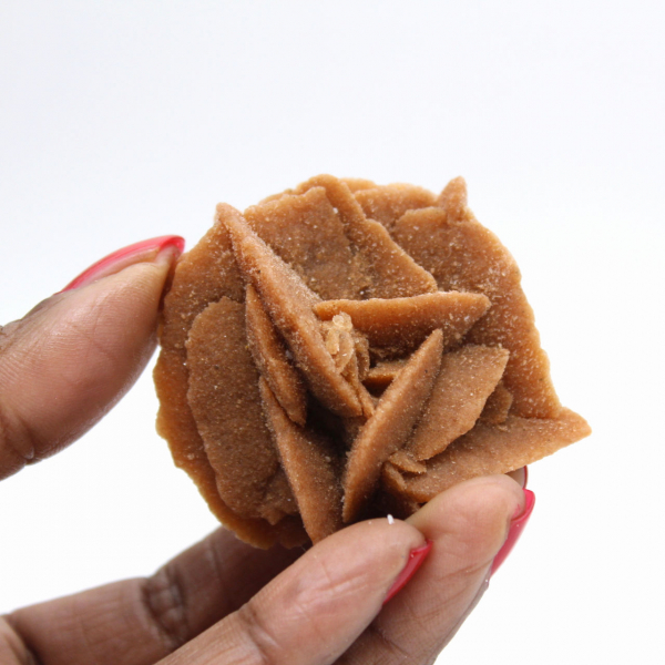 Litet fragment av ökenros: ett mineral från Marocko