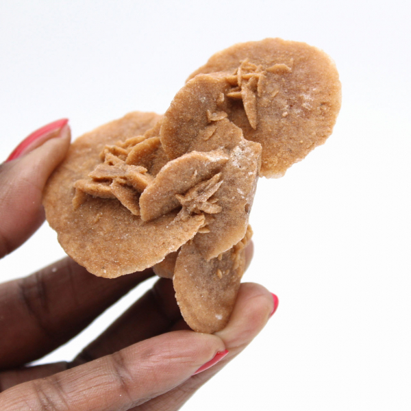 Liten marockansk ökenros: strålglansen av naturligt gips