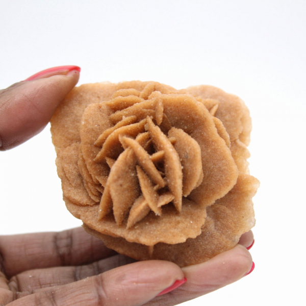 Marockansk ökenros: naturlig gipsbukett