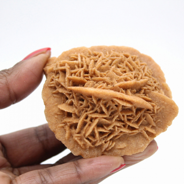 Exemplar av marockansk ökenros: tät kristallisering