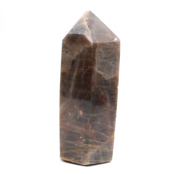 Microcline Collection Prism - Intensiv svart månsten