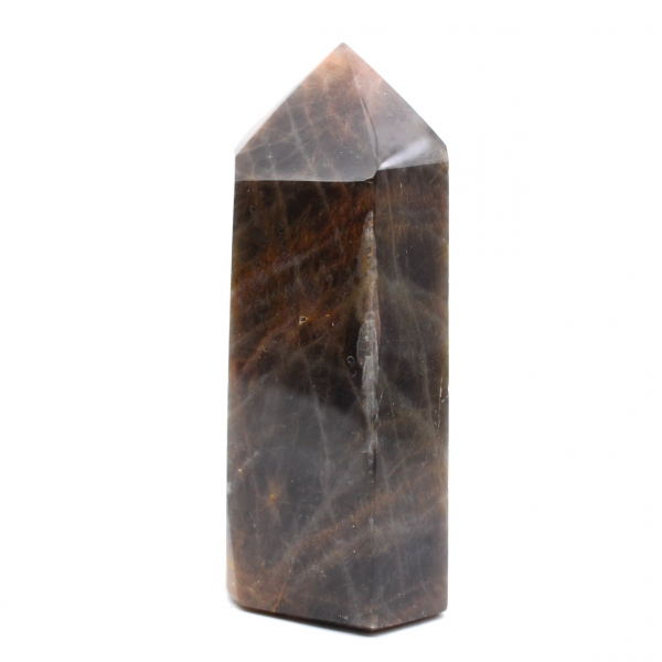 Microcline Collection Prism - Svart månstensmineral