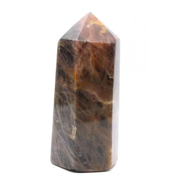 Microcline Collection Prism - Svart månstensmineral