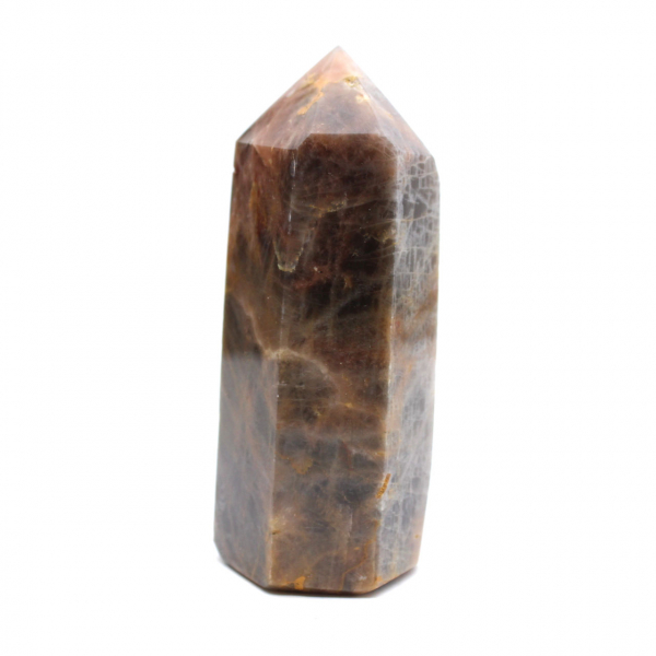 Microcline Collection Prism - Svart månstensmineral