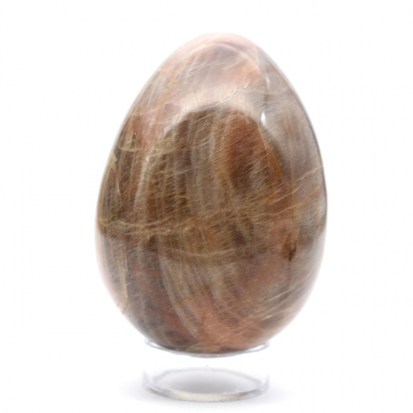 Svart månstensägg 355g - Madagaskar