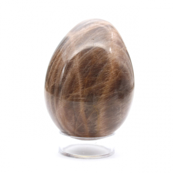 Svarta Madagaskar-mikroklinägg 235 g