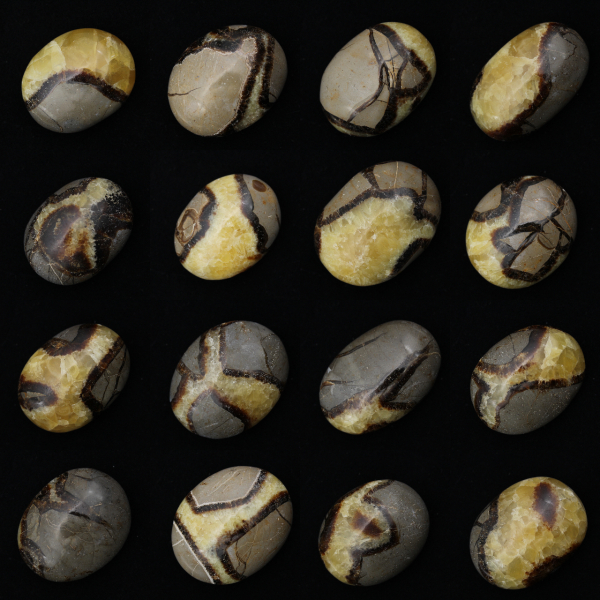 Pebbles of septaria