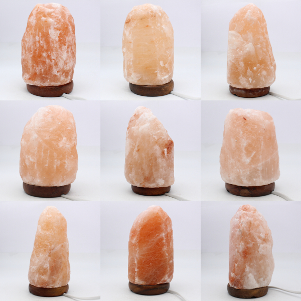 Rosa Himalaya saltlampa