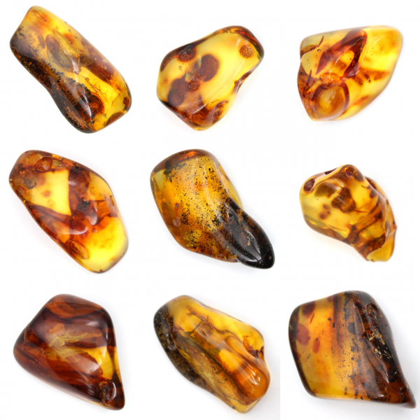 Liten polerad bärnstenssten från Litauen - Mineralogisk samling