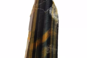 Tigerens öga