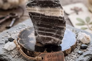 Zebra jaspis