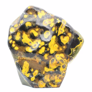 Humlan Jasper