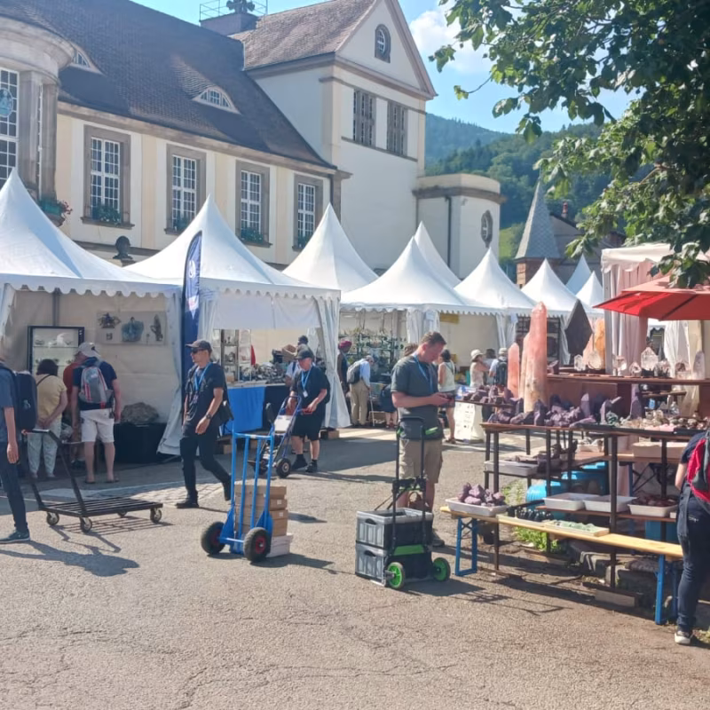 Mineral & Gem 2025: en stor internationell mineralogisk utställning allee smam 2025 5