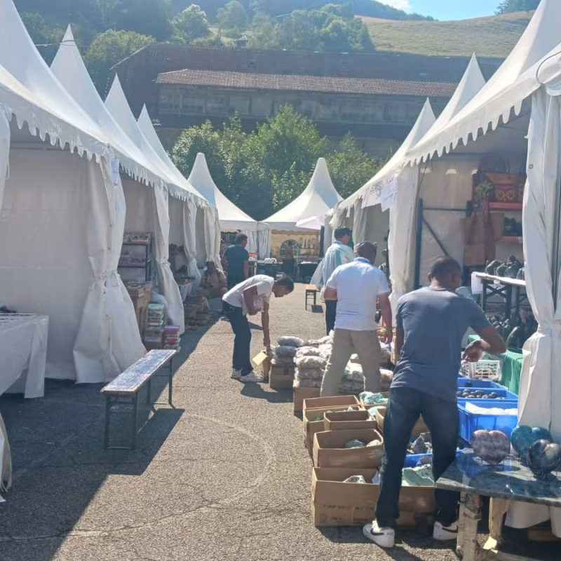 Mineral & Gem 2025: en stor internationell mineralogisk utställning allee smam 2025 6