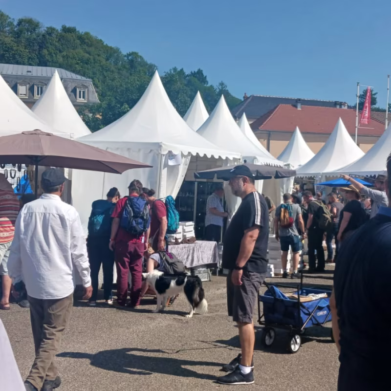 Mineral & Gem 2025: en stor internationell mineralogisk utställning allee smam 2025