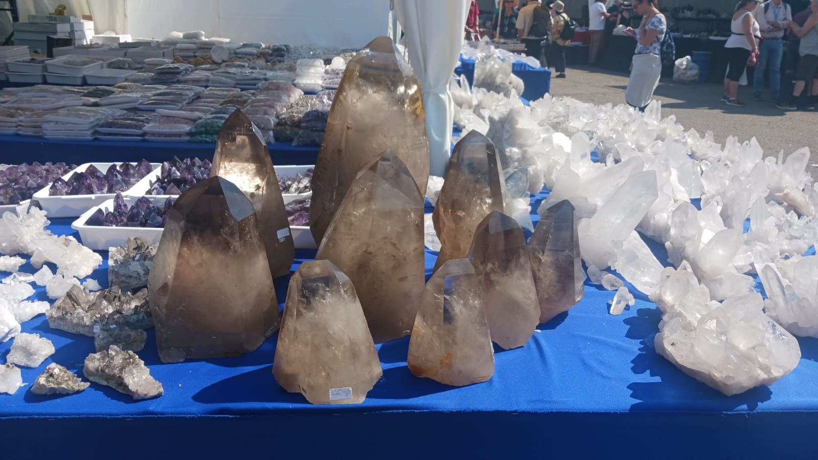 Mineral & Gem 2025: en stor internationell mineralogisk utställning