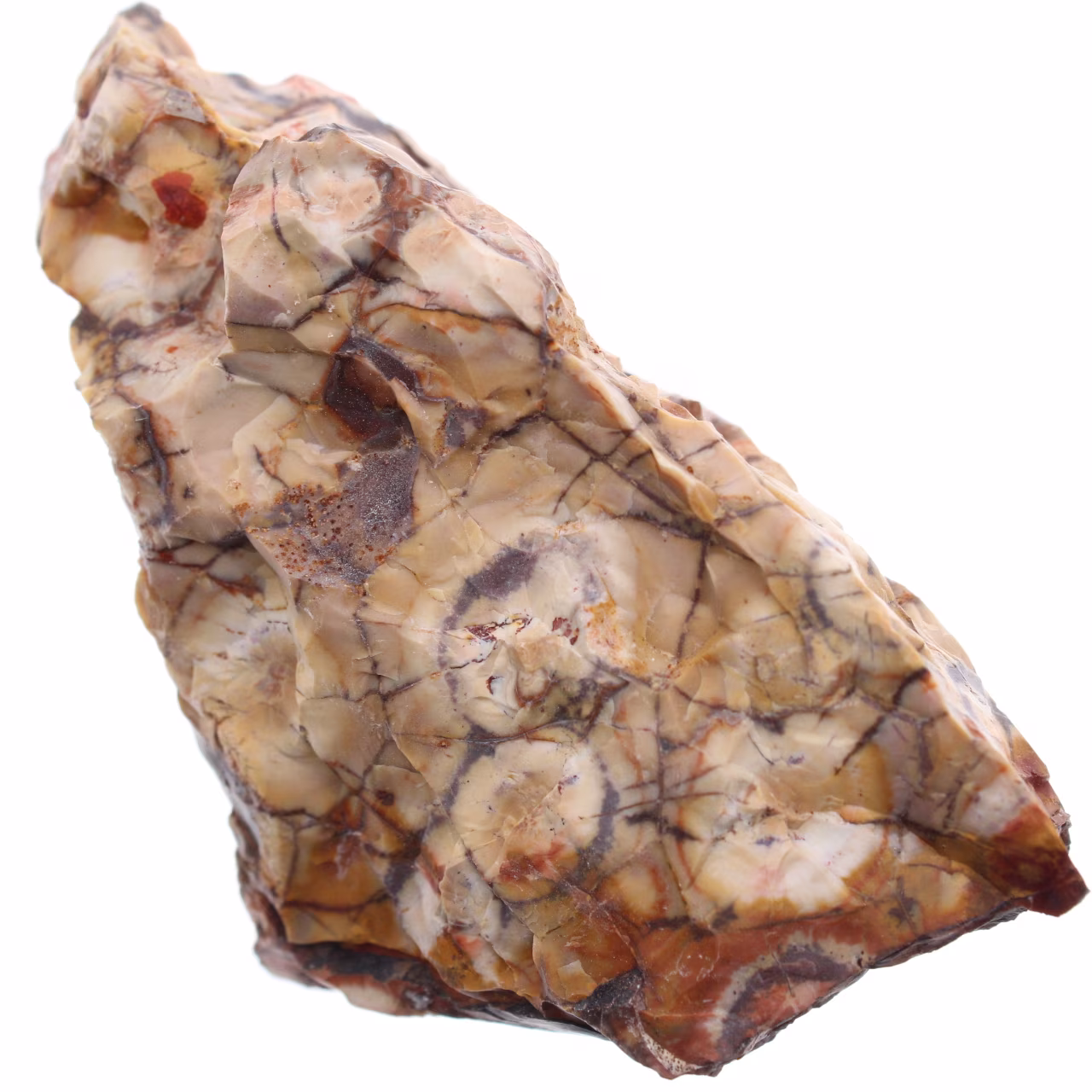 Ocelli jaspis