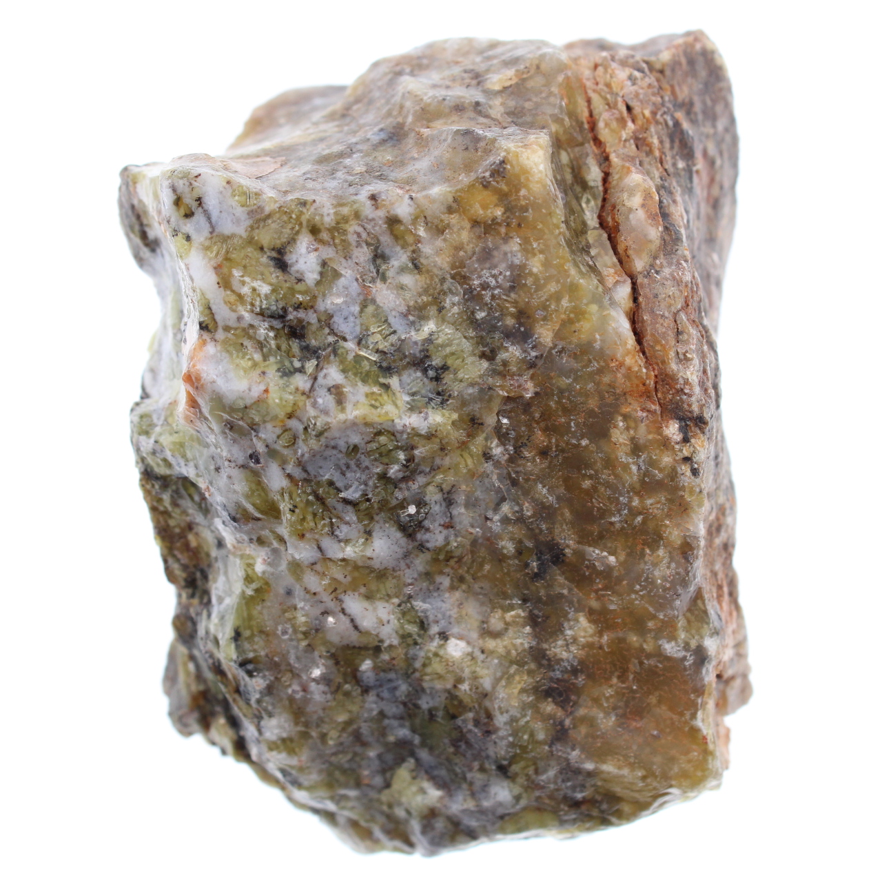 Dendritopal