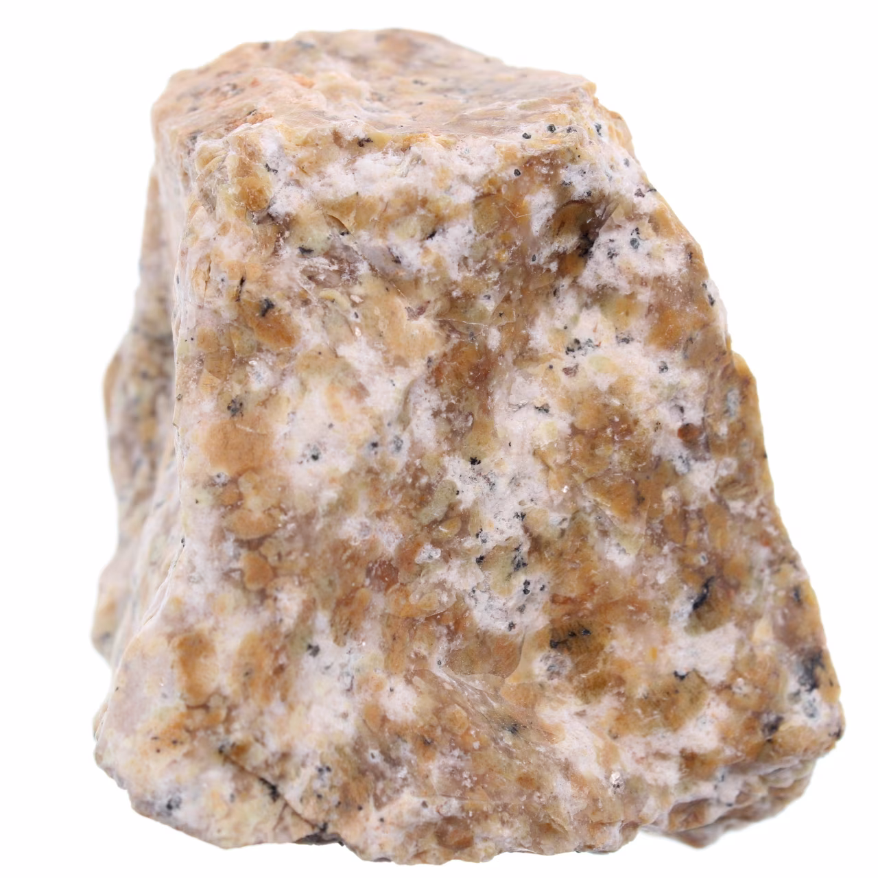 Dendritopal