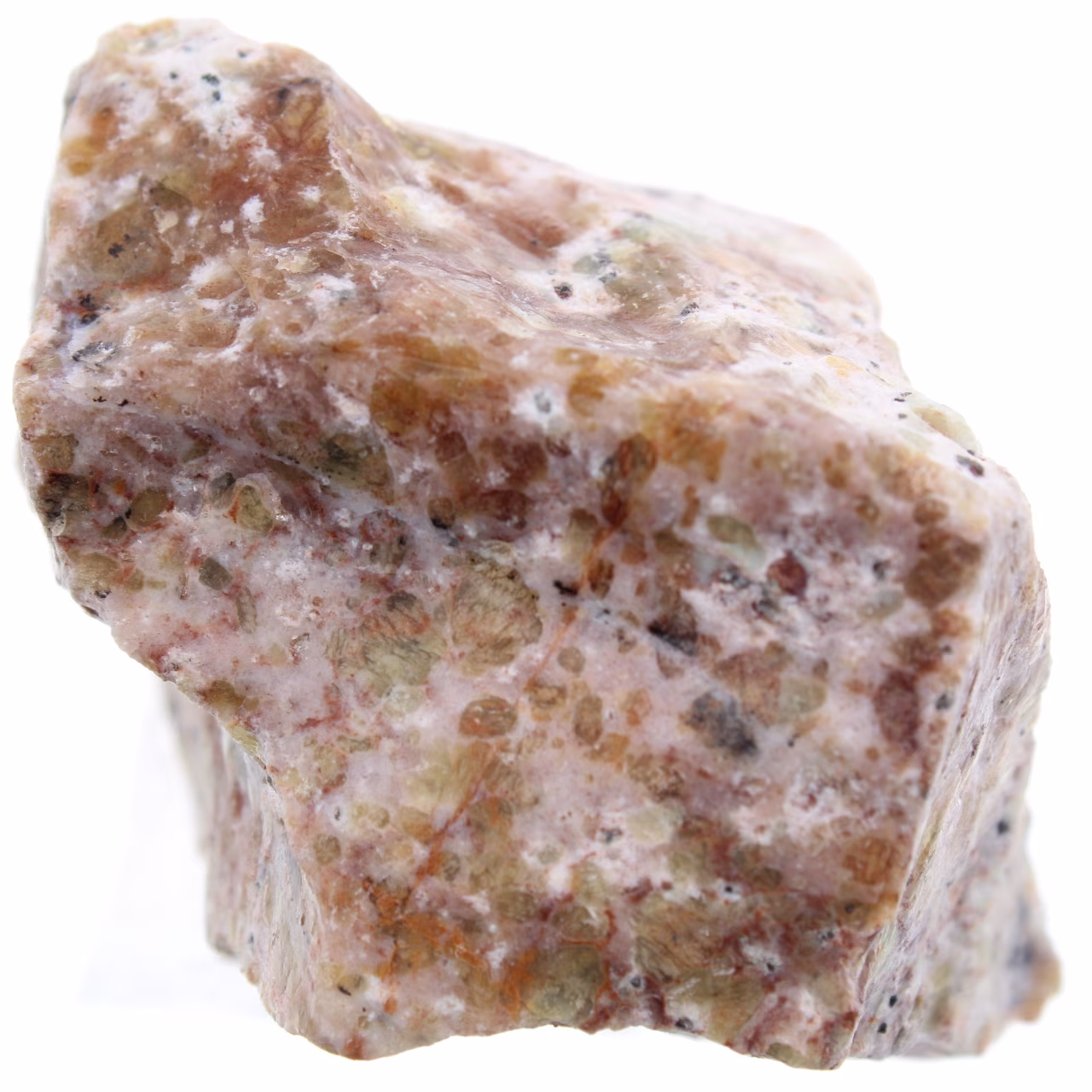 Dendritopal