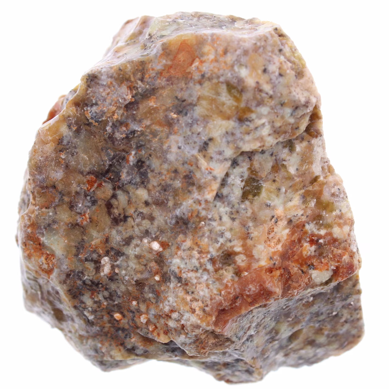 Dendritopal