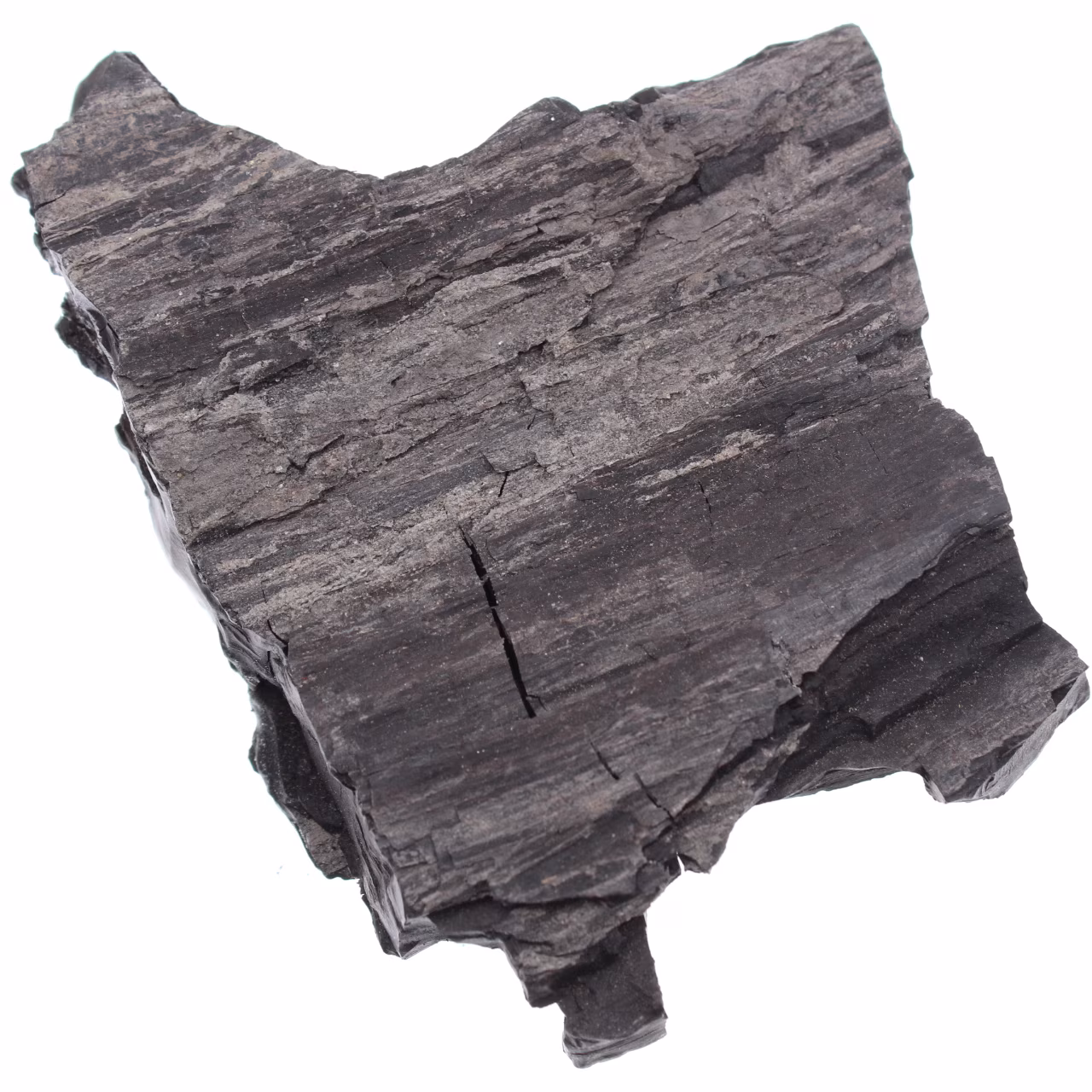 Mongolisk jet