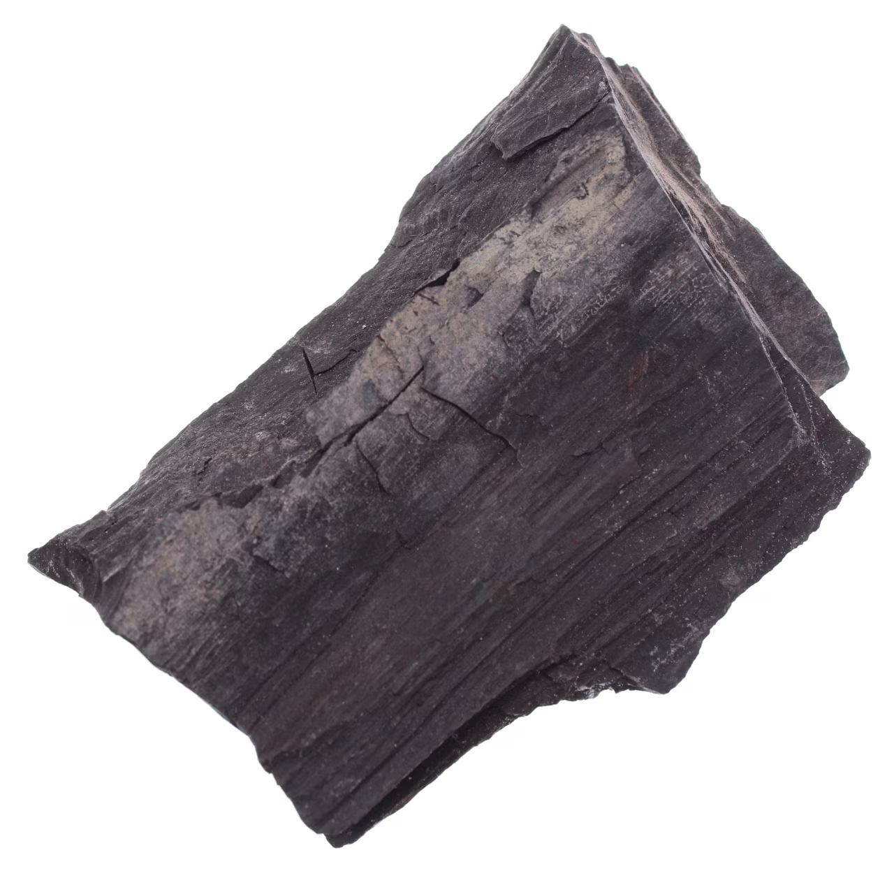 Mongolisk jet