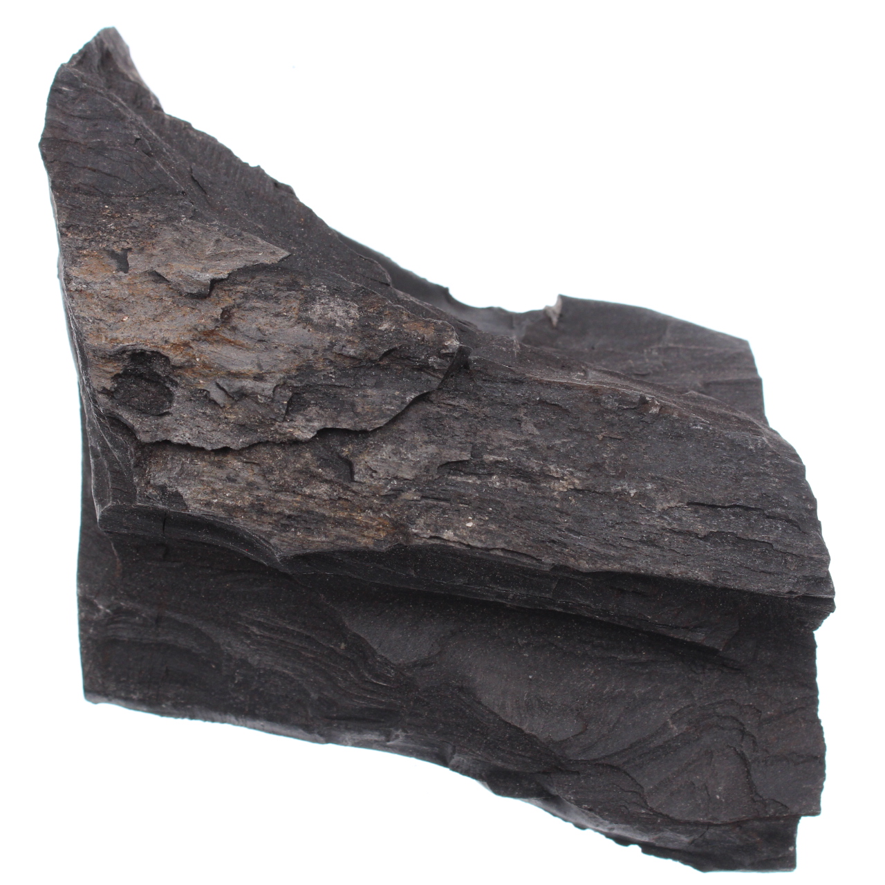Mongolisk jet