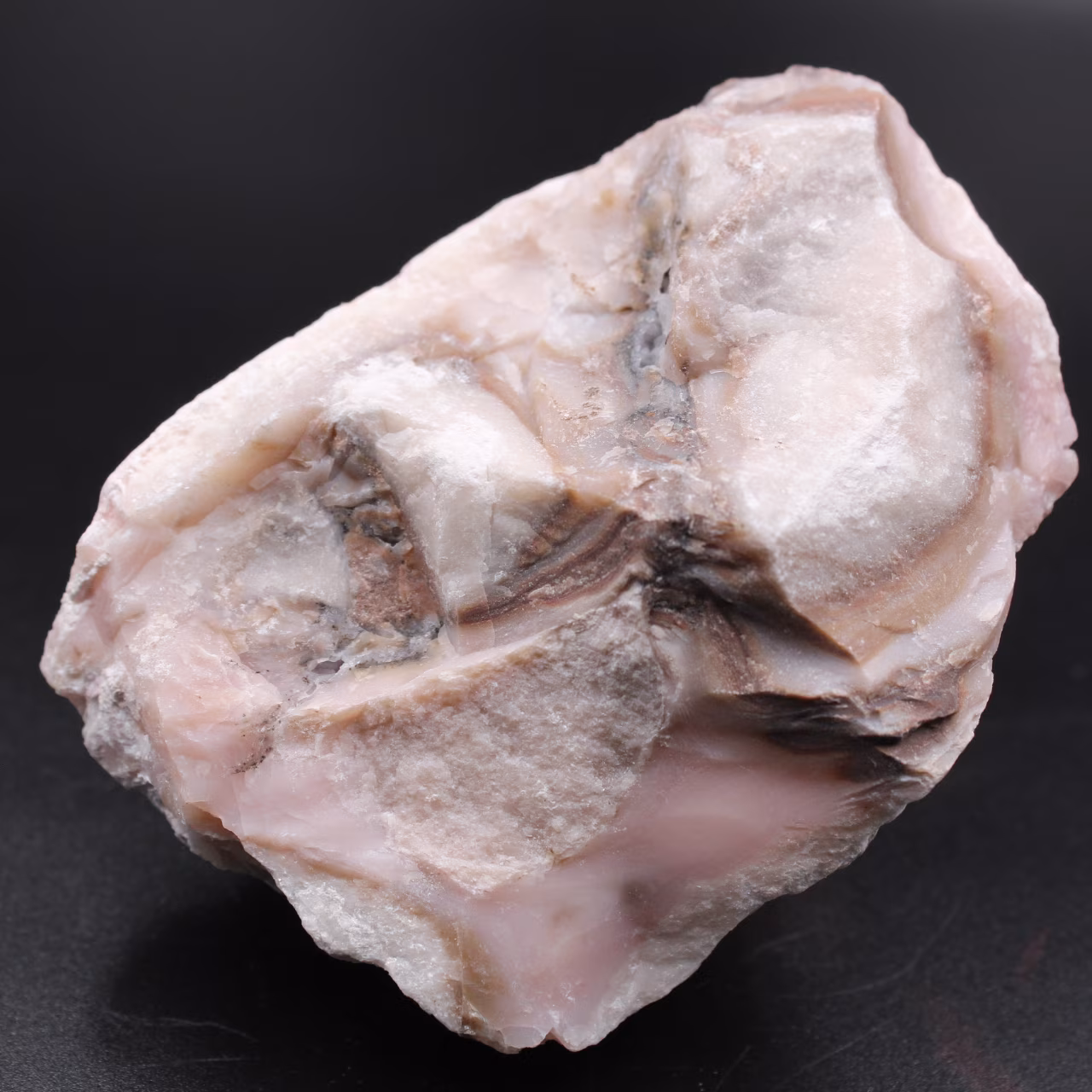 Rosa opal