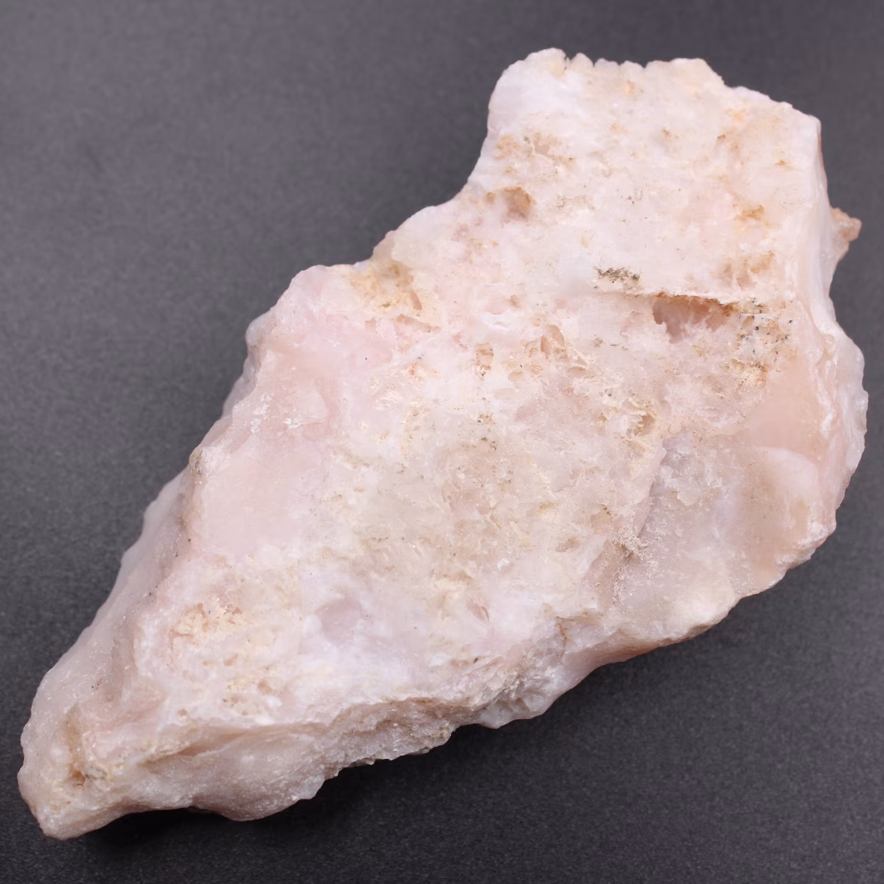 Rosa opal