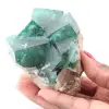 Kubiska kristaller av grön fluorit på massiv fluorit - 0