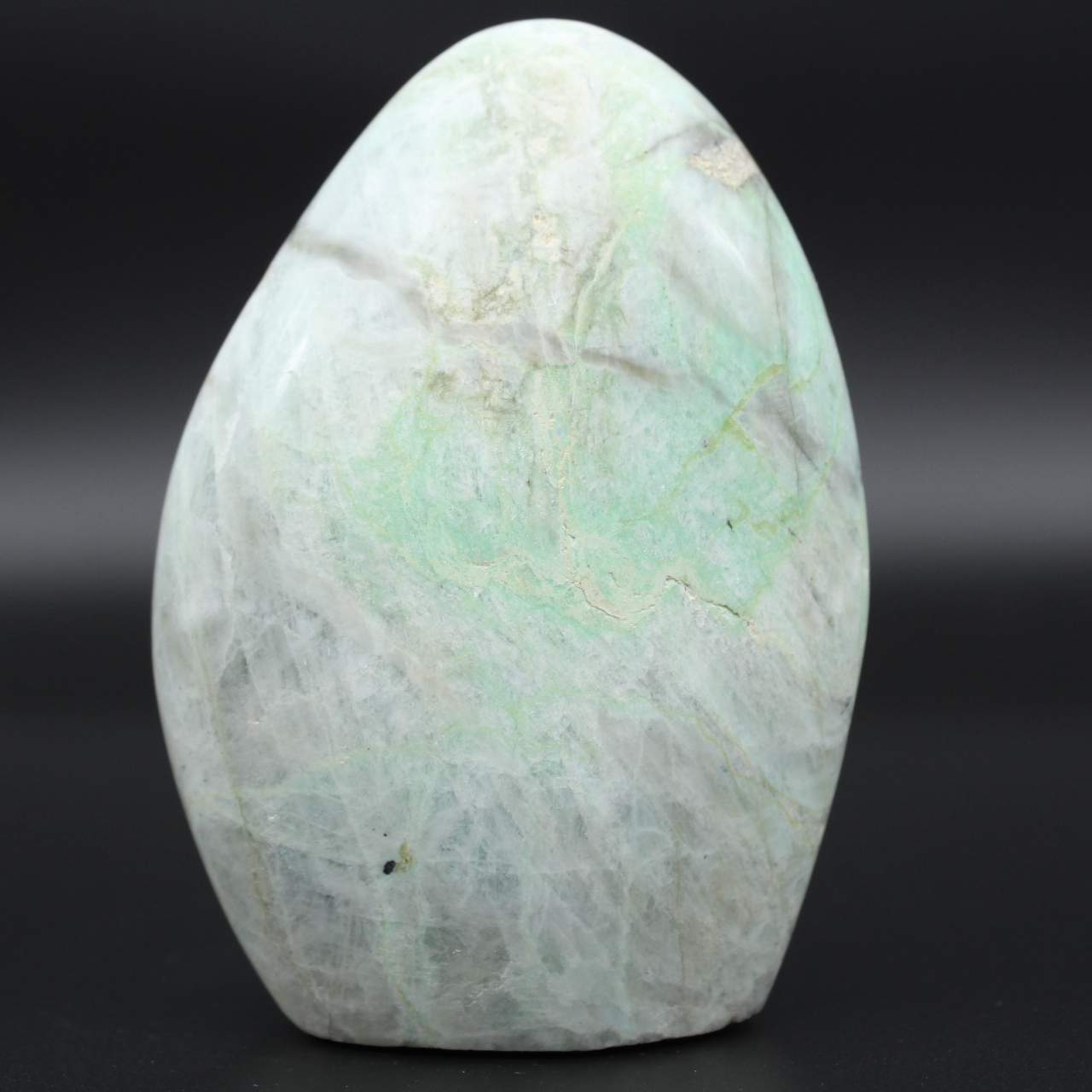 Polerad garnieritrock
